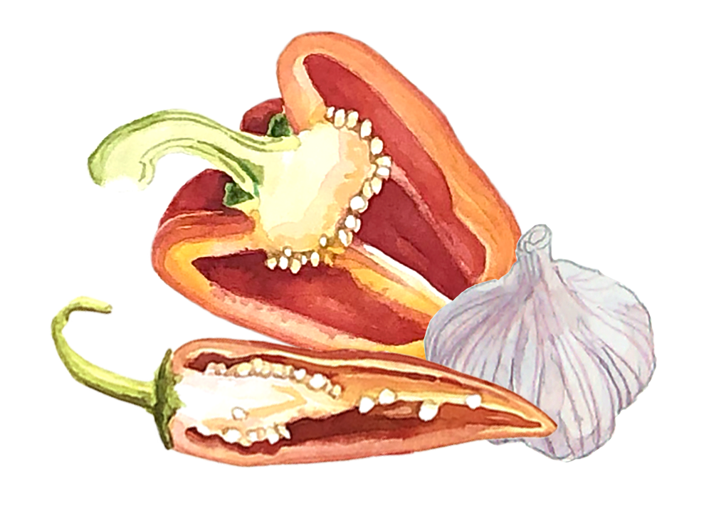 Harissa